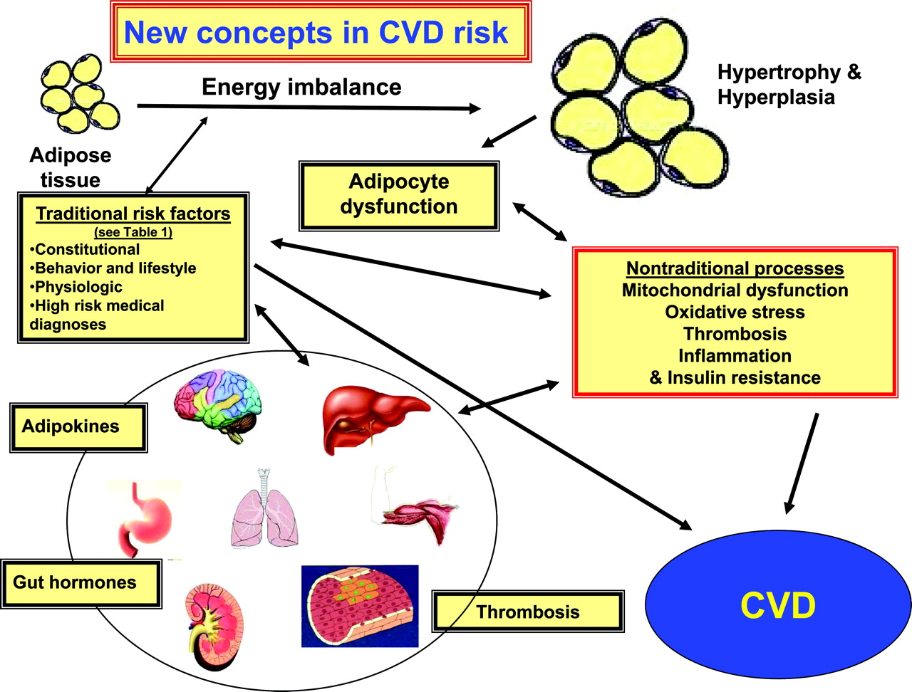 cardiac-stress-testing-best-medical-care-service-medical-arrow