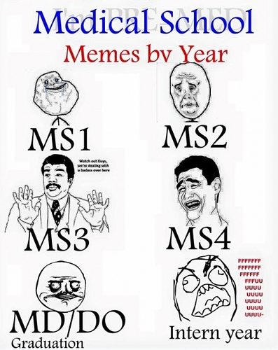 Medical school memes by year