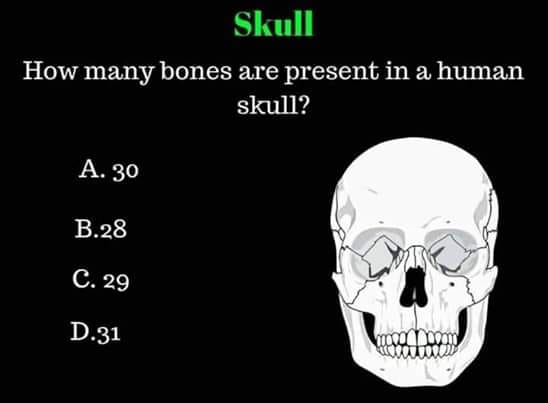 how-many-bones-are-present-in-a-human-skull-neet-pg-www