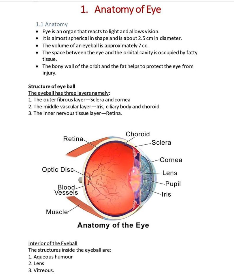 Anatomy of Eye details - NEET PG - www.MedicalTalk.Net the Best Medical ...