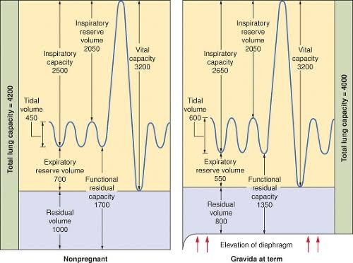 functional-residual-capacity-decreases-in-pregnancy-neet-pg-www